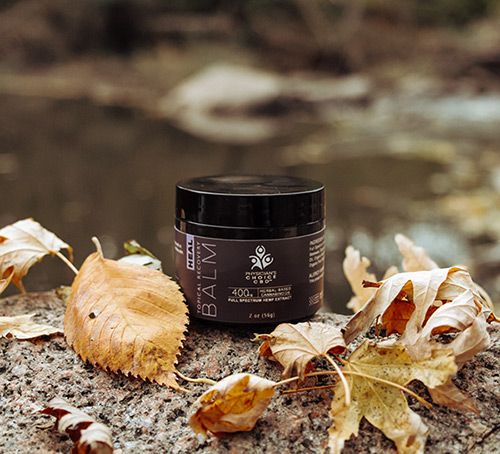 Photo of Physicians Choice CBD balm on a rock surrounded by fall leaves